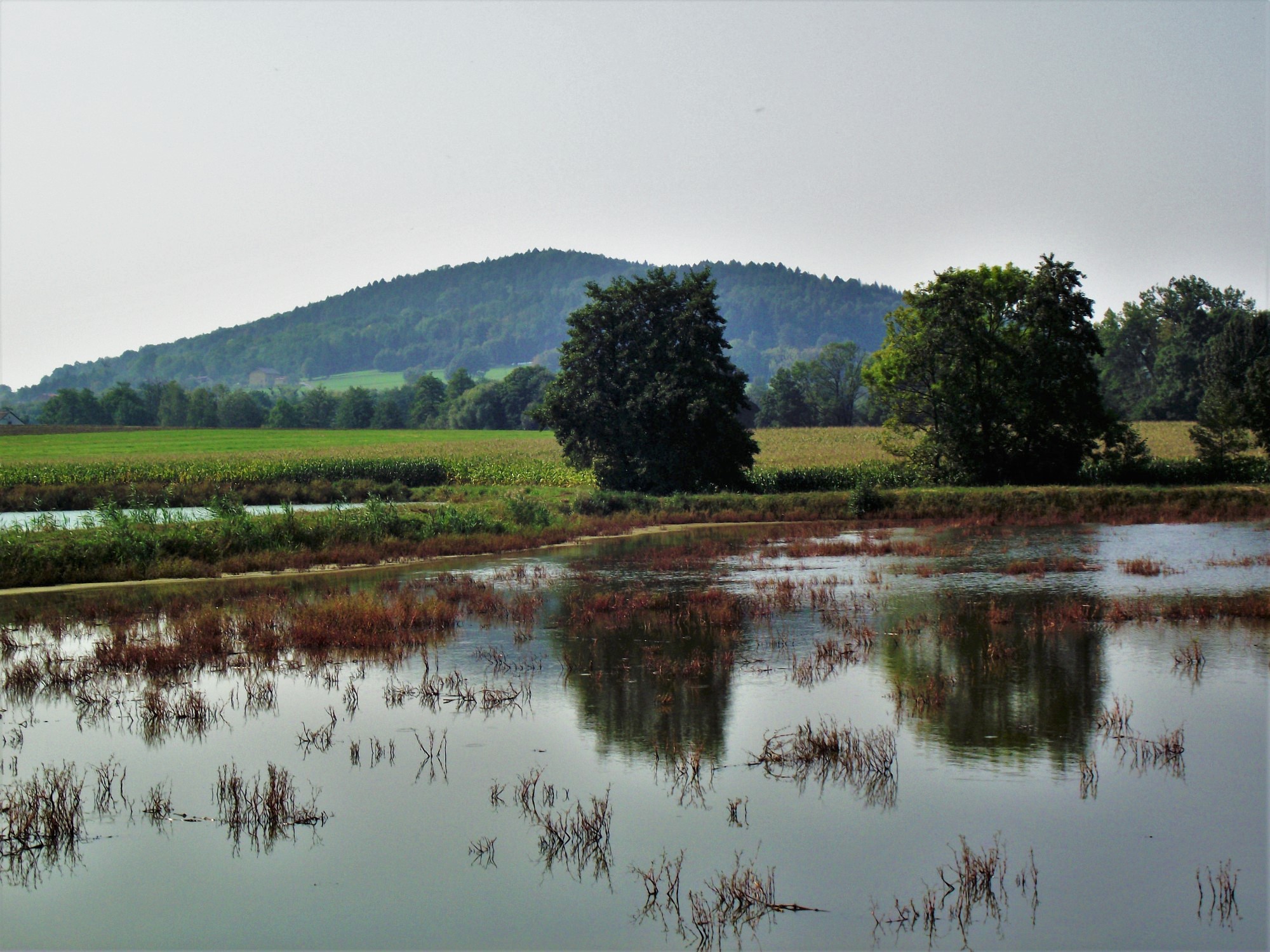 Godziszów Pond and Chełm Mountain